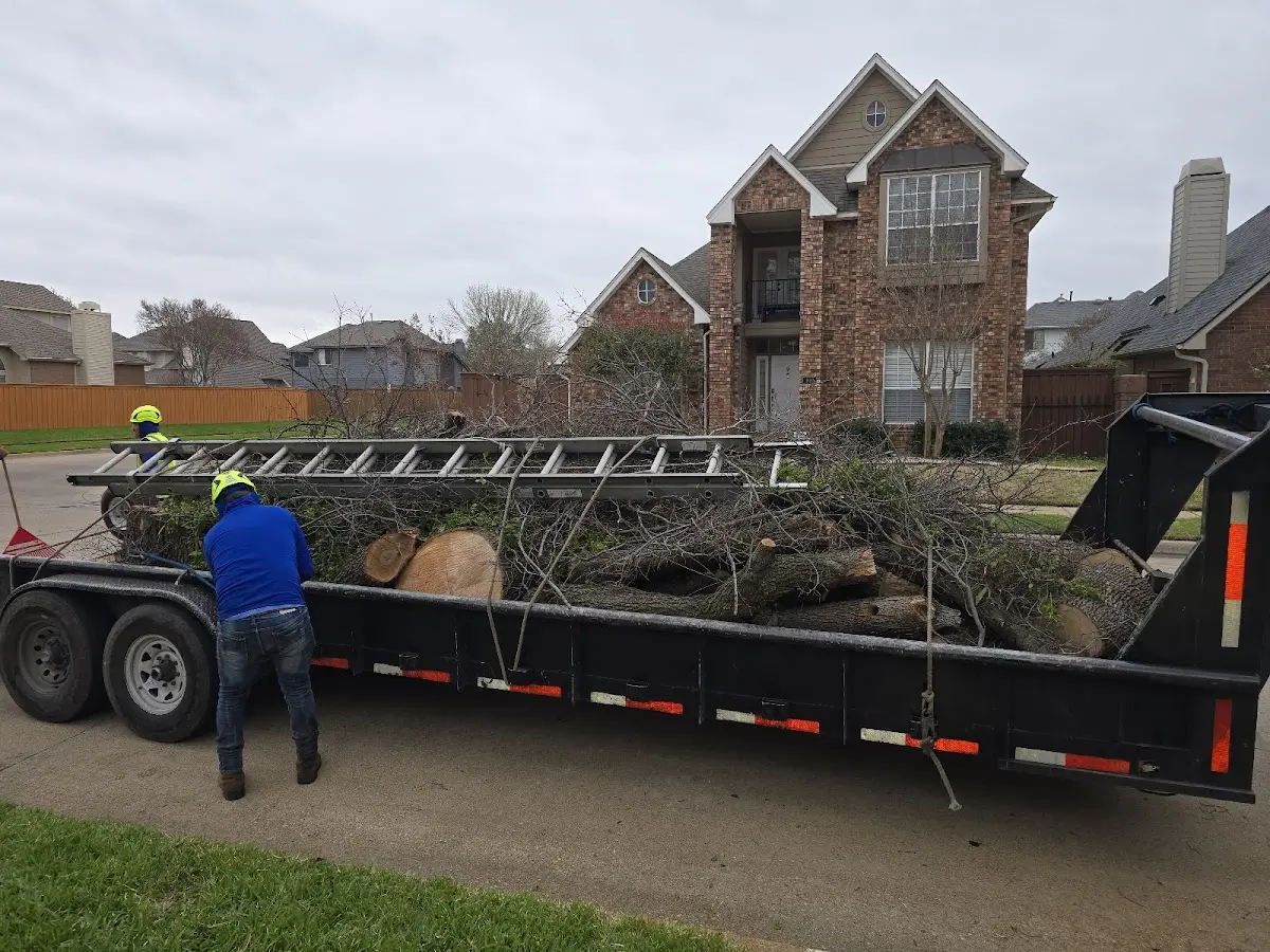 Expert Crown Reduction with proper safety equipment in Black Creek